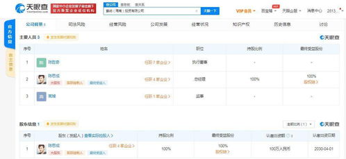 陳思成海南成立投資公司，業(yè)務(wù)涵蓋資金投資與項(xiàng)目策劃服務(wù)
